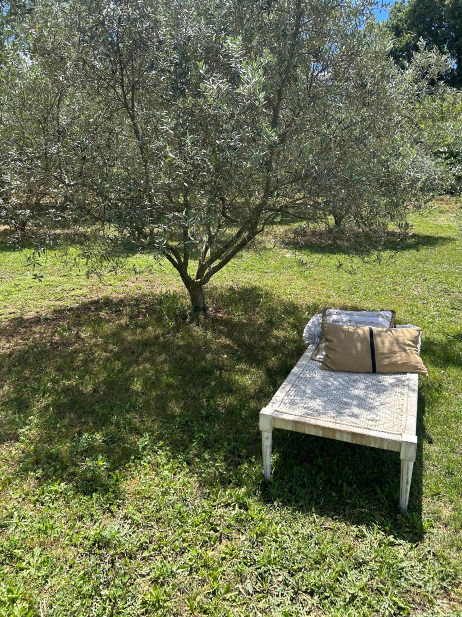 Sous Les Etoiles En Provence, Gite Les Grands Chenes Lurs 외부 사진